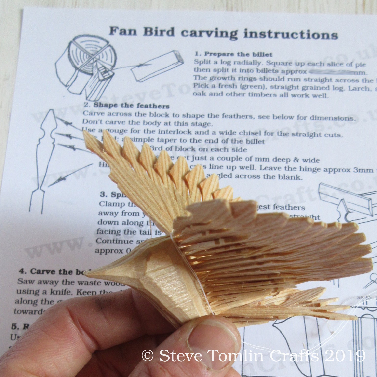 how-to-carve-a-fan-bird-instructions-steve-tomlin-crafts