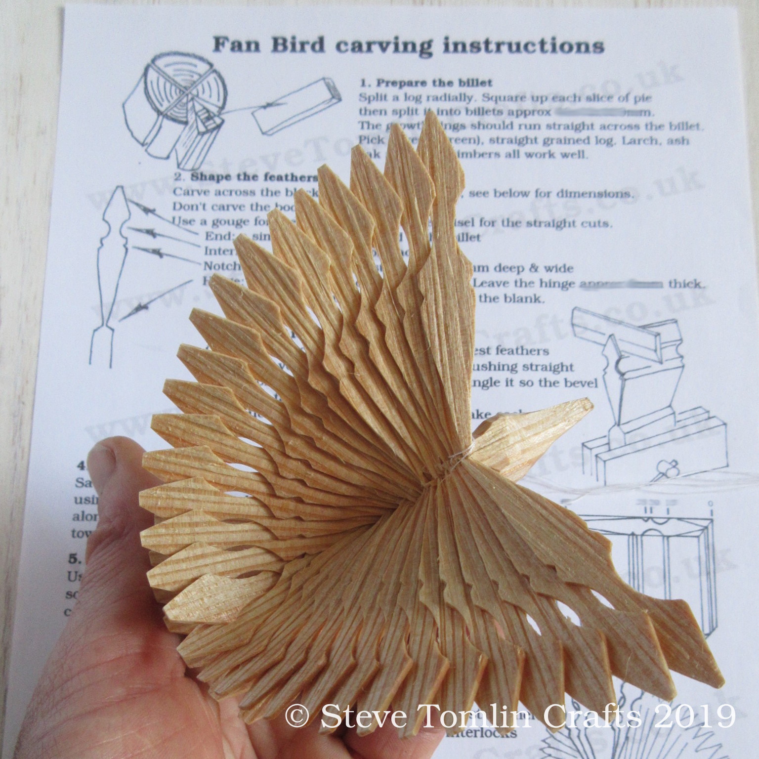 How to carve a fan bird instructions Steve Tomlin Crafts